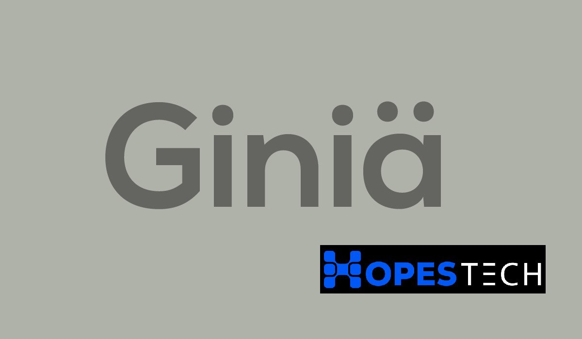 Giniä