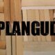 Plangud