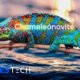 Chameleónovité