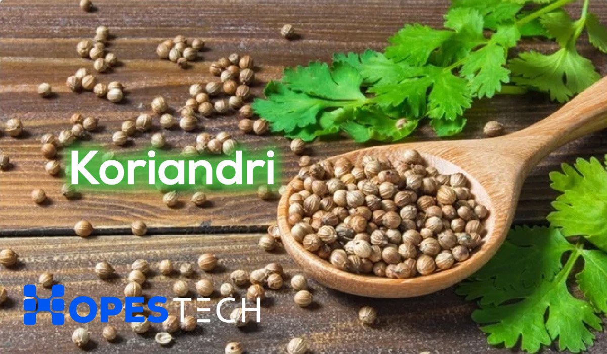 Koriandri