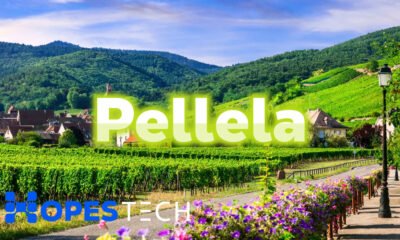 Pellela