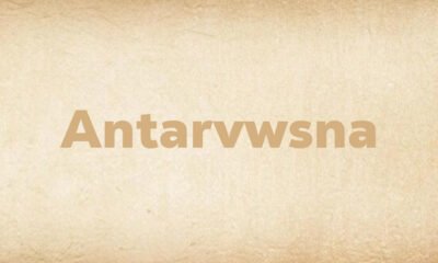Antarvwsna