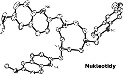 Nukleotidy