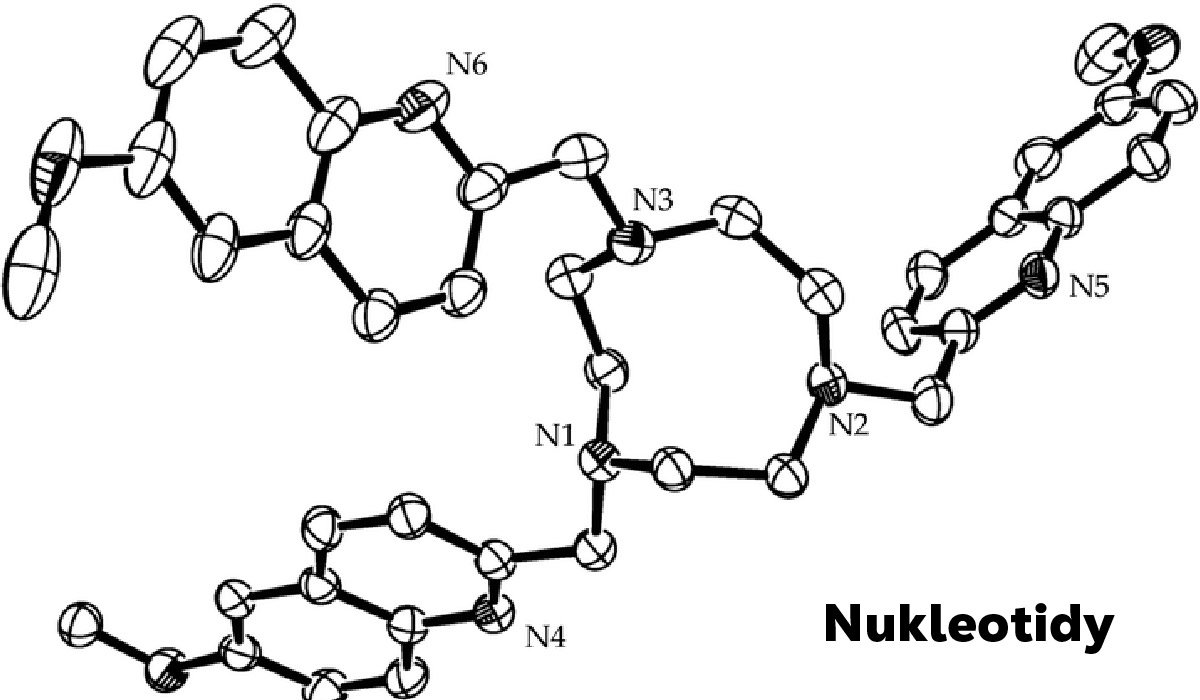 Nukleotidy