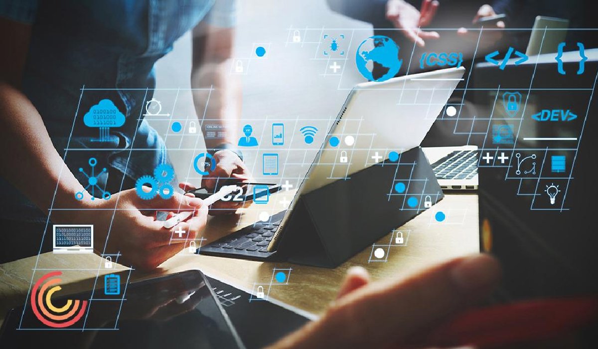 Affordable Web Development Solutions for Startups