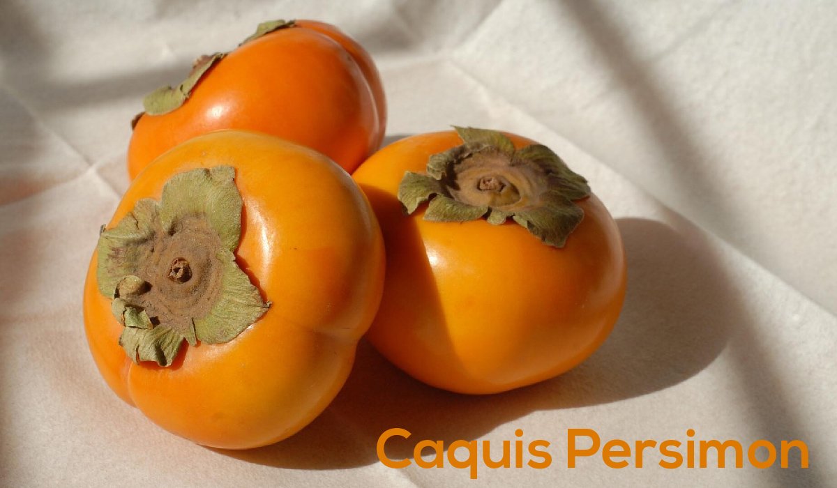 Caquis Persimon