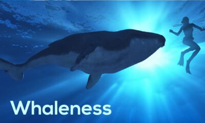 Whaleness