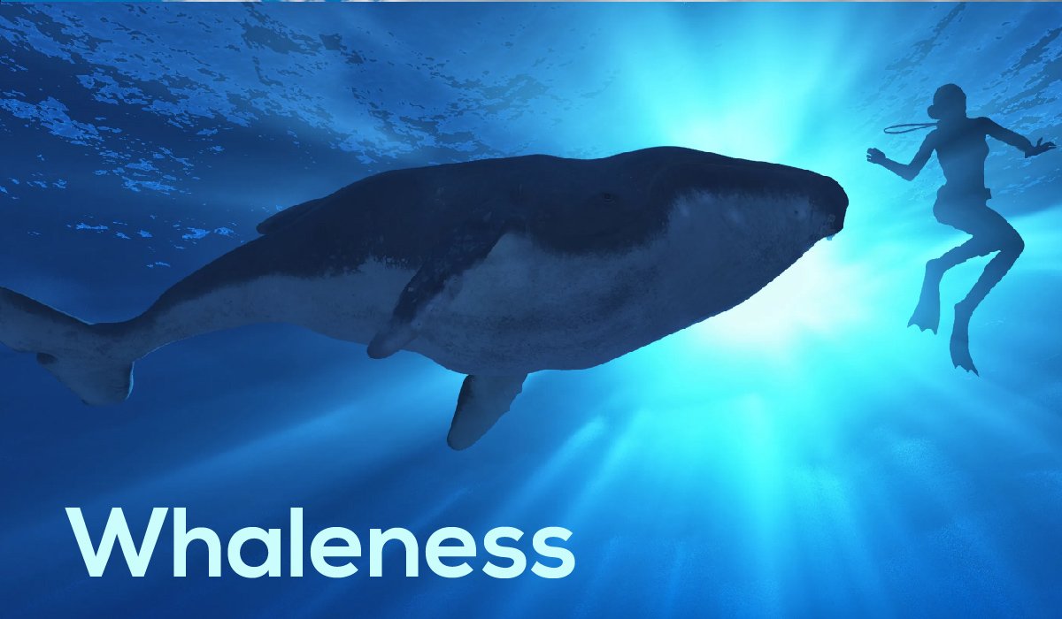Whaleness