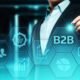 B2B Brands